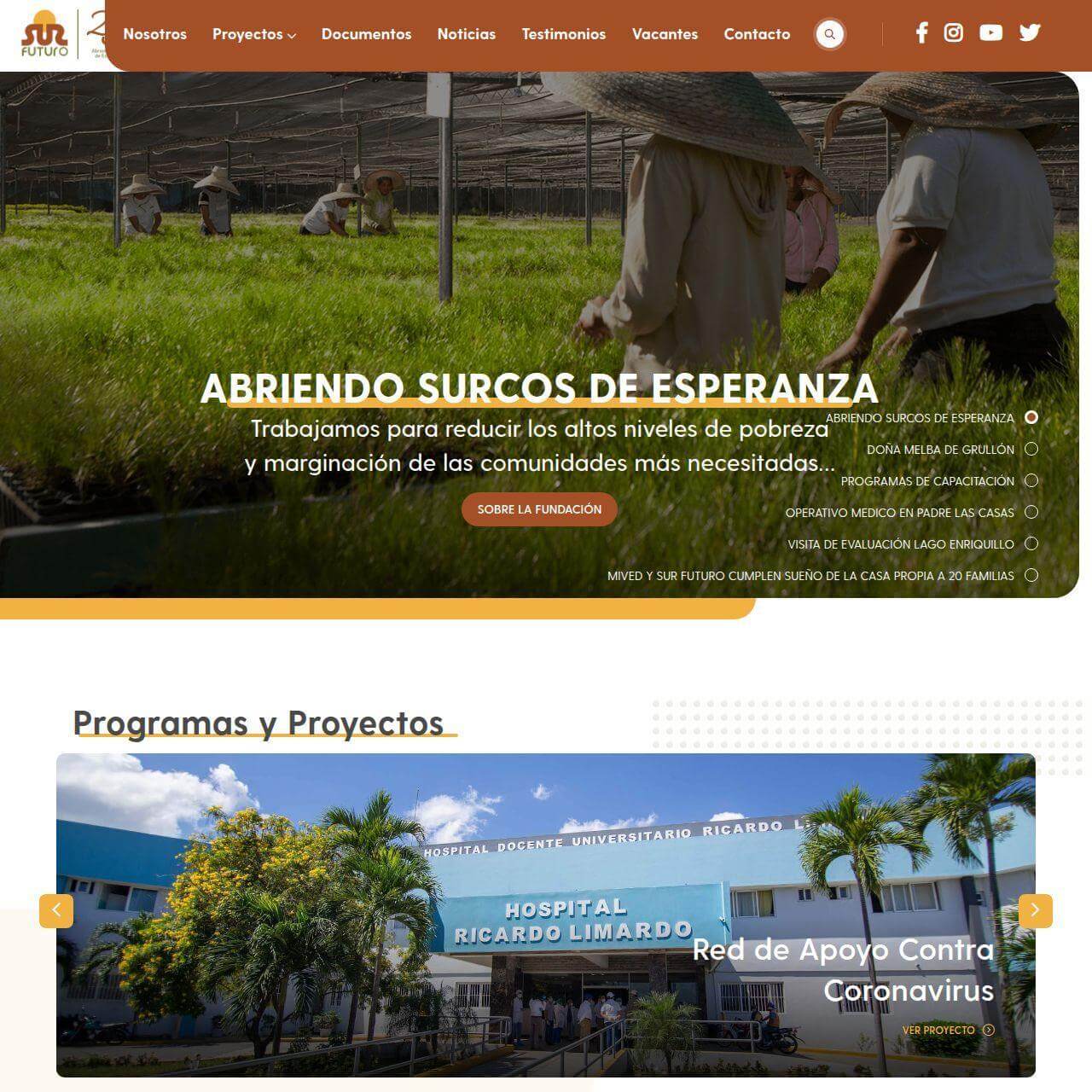 Sitio web Fundación Sur Futuro — ONG de impacto social en la zona sur de República Dominicana